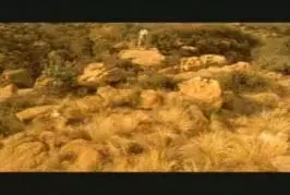 Un moment de clairvoyance