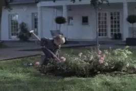L’arbre à voiture
