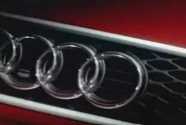 Un escargot sur une Audi