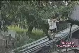video gag à la ferme