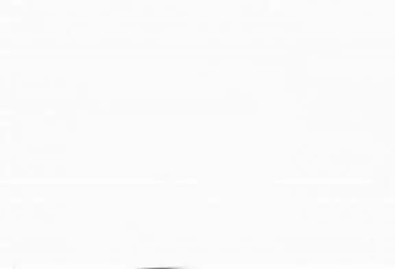 Amnesty International - Signature