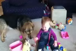 Des bubulles qui rendent hystériques