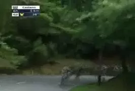 Frank Schleck tombe dans un ravin au tour de Suisse