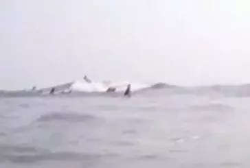 Requin vs surfeur !