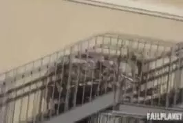 Une compilaton des plus belles chutes dans les escaliers !