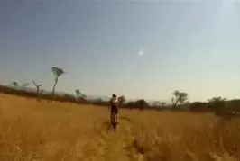 Un biker se fait rentrer dedans par une antilope pas très contente !
