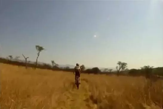 Un biker se fait rentrer dedans par une antilope pas très contente !