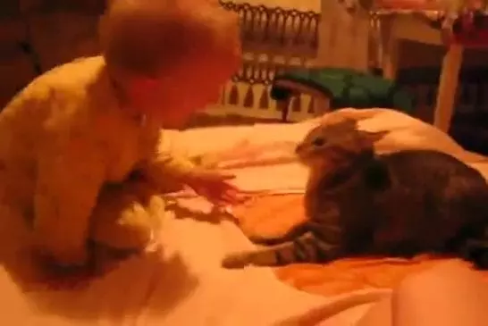 Un chat et un bébé jouent mais ce dernier donne un fameux coup à l’animal !