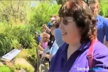 Deux jeunes hommes trompent tout un zoo en jouant au Gorille !