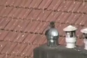 Un pigeon s’en donne à coeur joie !