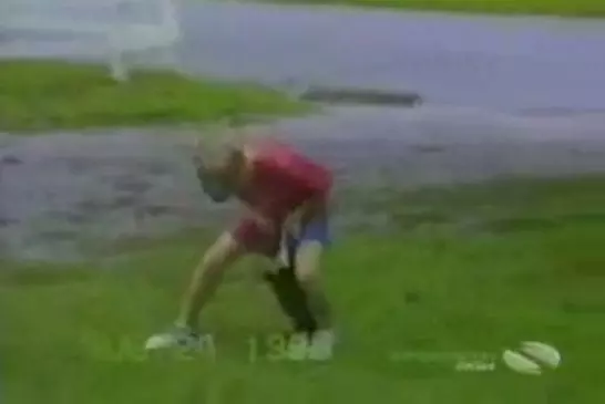 Des chiens complètment fous