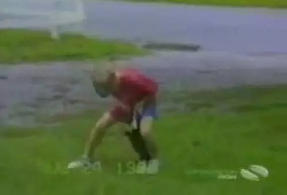 Des chiens complètment fous