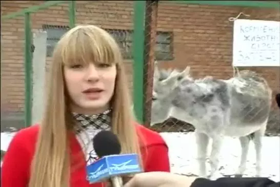 Un âne lache un gros pet