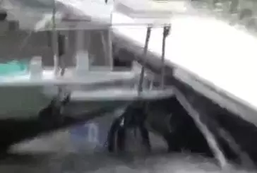 Un bus tombe dans la seine