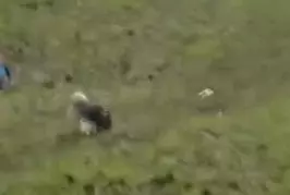 Un remake de la petite maison dans la prairie...