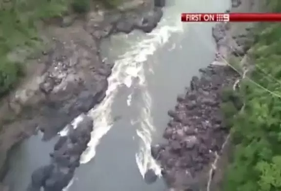 Un saut à l’élastique qui tourne mal