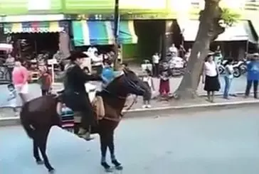 Un cheval un peu nerveux