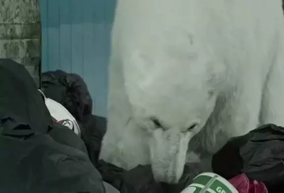 Un ours polaire se promenant dans les rues de Londres