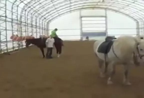 Comment ne pas sauter sur un cheval