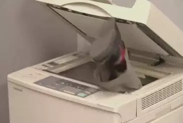 Attaque du photocopieur