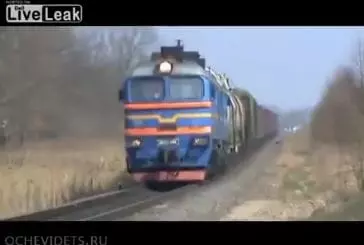 Ce chien court devant un train en marche