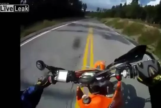 Une moto se chope un chevreuil