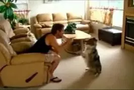 Un artiste canin au poil
