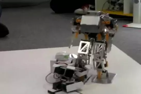 Une mise à mort de robots