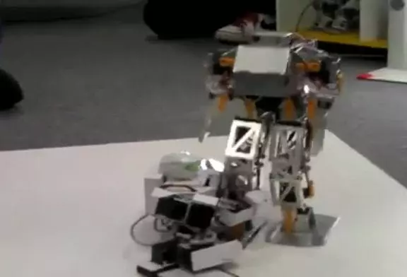 Une mise à mort de robots