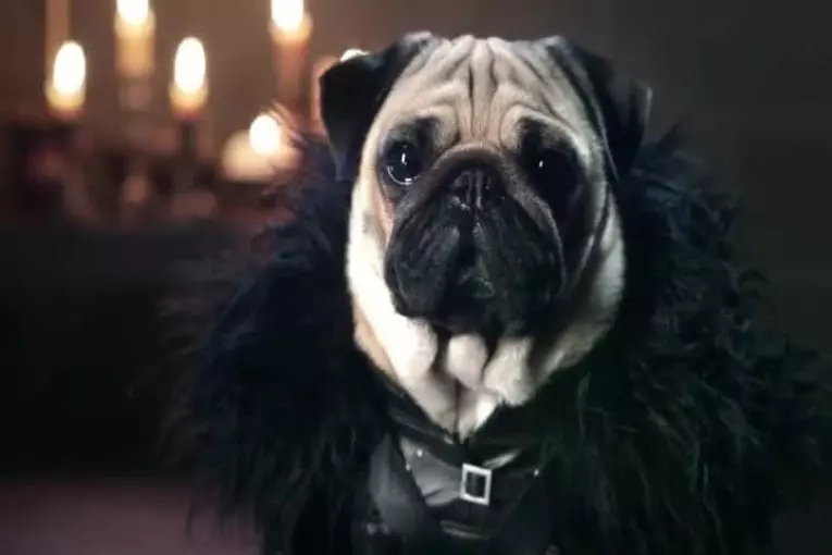 Les roquets de Westeros