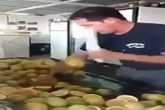 Le gars qui a créé fruit ninja