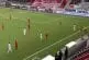 Une martre envahit un match de football suisse