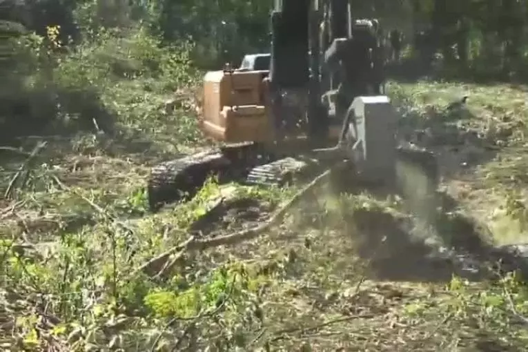 Comment pulvériser un arbre en quatre secondes