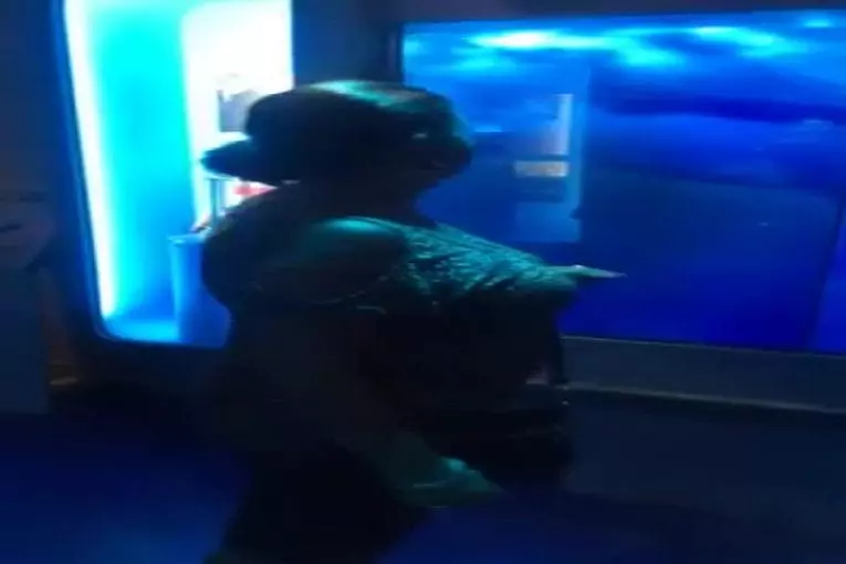 Attaque de requin sur grand-maman