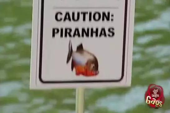 Blague de l'étang infesté de Piranhas
