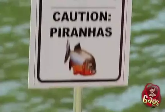 Blague de l'étang infesté de Piranhas