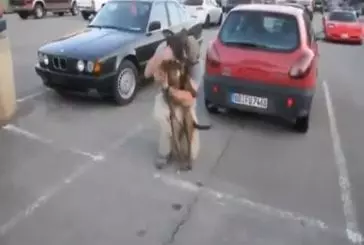 Retrouvaille entre un chien et son maitre