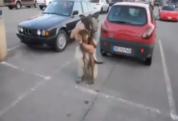 Retrouvaille entre un chien et son maitre