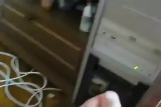 Chat se bat avec le lecteur de dvd