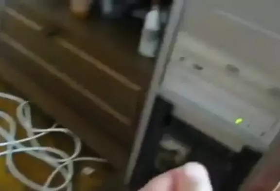 Chat se bat avec le lecteur de dvd