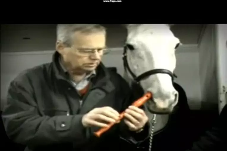 Jouer de la flûte avec un cheval