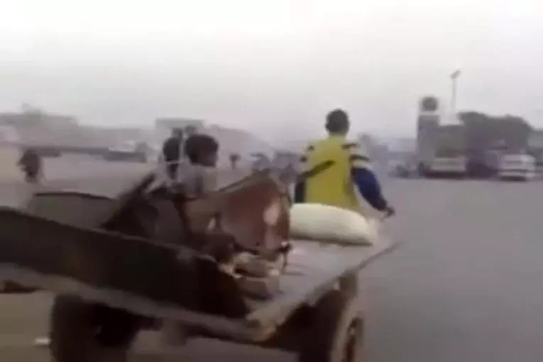 Inversion de rôle entre l'homme et l'animal