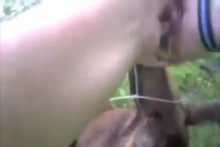 Chien fait peur à un officier de police