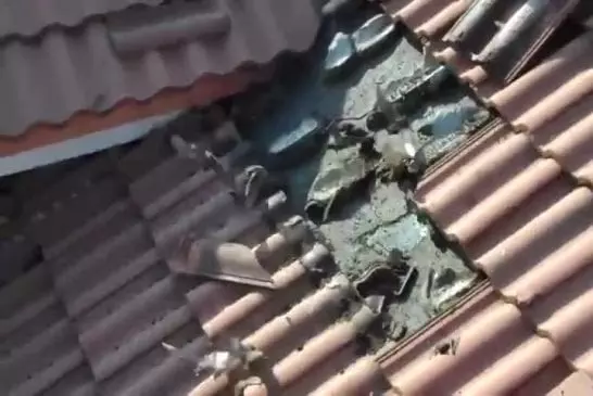 Toit infesté de chauve-souris