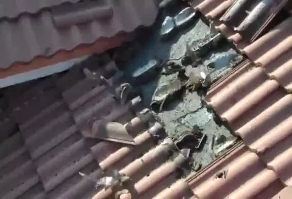 Toit infesté de chauve-souris