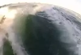 Surfer avec les dauphins