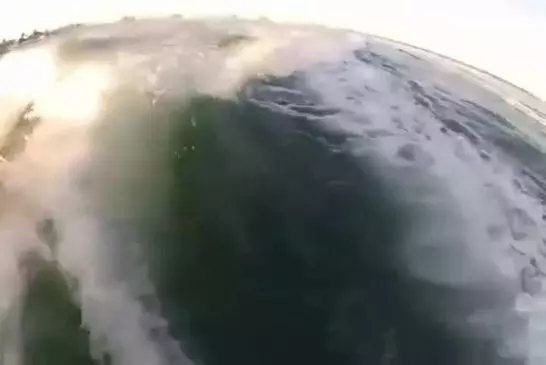 Surfer avec les dauphins