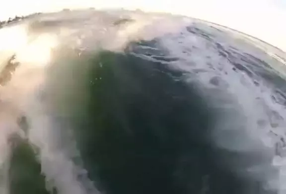 Surfer avec les dauphins