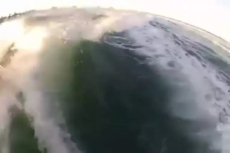 Surfer avec les dauphins