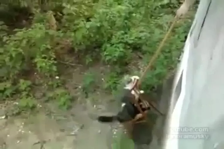 Pendant ce temps en Russie